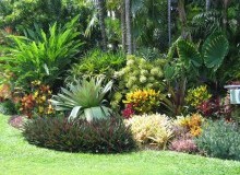 Kwikfynd Horticulturist
cannoncreekqld