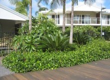 Kwikfynd Residential Landscaping
cannoncreekqld